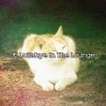 35 Lullabye In The Lounge