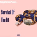 Survival Of The Fit (feat. Rome Streetz, Jadakiss, Navy Blue & 9th Wonder)(Remix|Explicit)