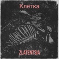 Клетка