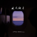 王忻辰、怪怪Zziaga - 晚风放手