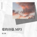 张玉国 - 徒有虚名的爱情.MP3