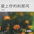 倪金茂 - 爱上你的刹那间