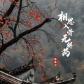 杨蓝心 - 相思入骨无解药