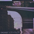 ORGANICソフトウェア. - zoneoutloop.exe