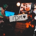 Tiger Church - IDM