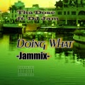 Doing What (feat. DJ Jam|JAMMIX)