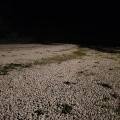 Nights of Yesterday - ****.Mp3