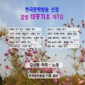 김성봉 - 겨울 십리포 해변