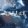 王娜 - 你当我是过客