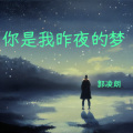 你是我昨夜的梦 (刀郎版)