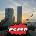 谢敏莉 - 我渴望遇见你