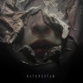 SHAMSHIR、Yazdani、Ali Vasim、Yazdan Hezare - Natonestam (Explicit)