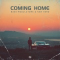 Bass Modulators、New Hero - Coming Home