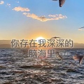 404Hz - 你存在我深深的脑海里