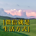 周细荣 - 微信就是生活方式