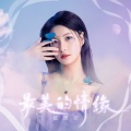 葛漂亮 - 最美的情缘