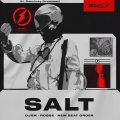 Robbe、DJSM、New Beat Order - Salt
