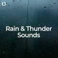 Rain & Thunder Sounds: Best for Sleep