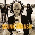 Skunk Anansie - All I Want