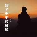 苍狼 - 到了中年的时候