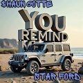 $hAUN GOTTE、Star Ford - You Remind Me