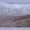 洋澜一 - 风中的遗憾