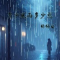 多少风雨多少愁