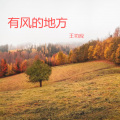 王功应 - 清风呀