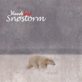 Snøstorm