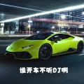 广西大师 - 谁开车不听DJ啊