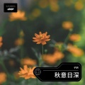 子玥 - 记忆的书库