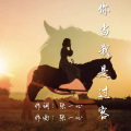张一心 - 你当我是过客