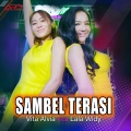 Sambel Terasi