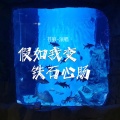 苍狼 - 假如我变铁石心肠