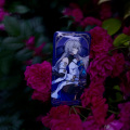 Vio1et5210 - 花之舞