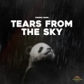 Panda Rain、Panda Sleep、Panda Music - Wet Streets at Midnight