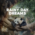 Panda Rain、Panda Sleep、Panda Music - Calm Before the Rain