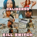 Kill Switch (Explicit)