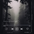 Tim Visual Sonics - Rainforest's Resounding Rains - Monsoon's Muse