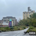 SHOWALTER! - Cat's Eye