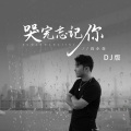 哭完忘记你 (DJ阿远版)