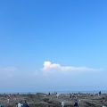 兄弟