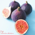 Valentine Martini - figs