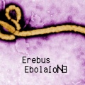 Erebus - ebola