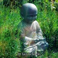 Meditation Muse - Spiritual Journey