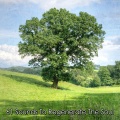 61 Sounds To Regenerate The Soul