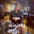 往往老赵 - 晚风作酒 (往往老赵 remix)