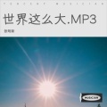 世界这么大.MP3