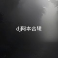 列车开往那春天 (DJ版)