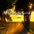 郑畅业 - 想见的人就见一面